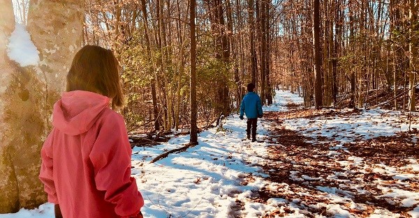 Light snow on wooded trail, Embrey Mill
