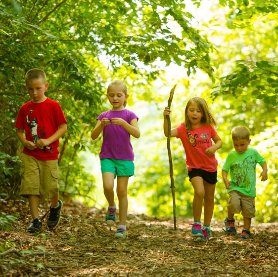 Kids enjoying nature trail
