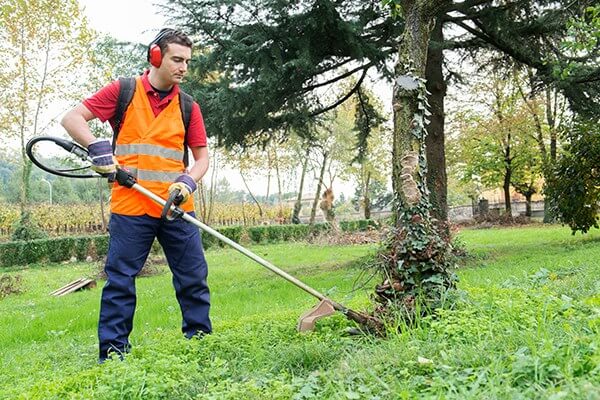 military-landcape1 resized.jpg