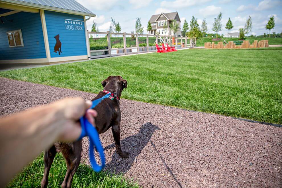 Dogwood Dog Park