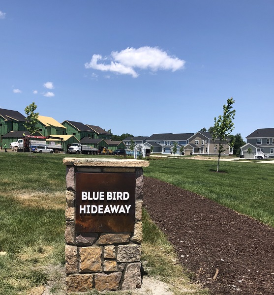Blue Bird Hideaway