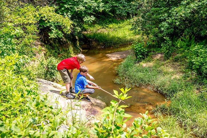 Kids playing by stream in woods, Embrey Mill outdoor activities