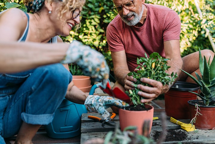 Spring planting