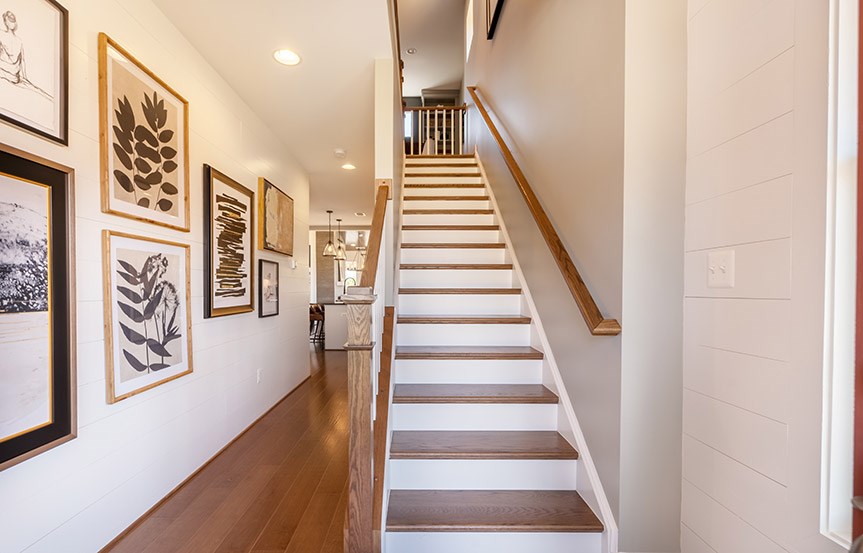 Rainier Townhome Stairs with Walkout Basement in Cascades at Embrey Mill, Stafford, Virginia